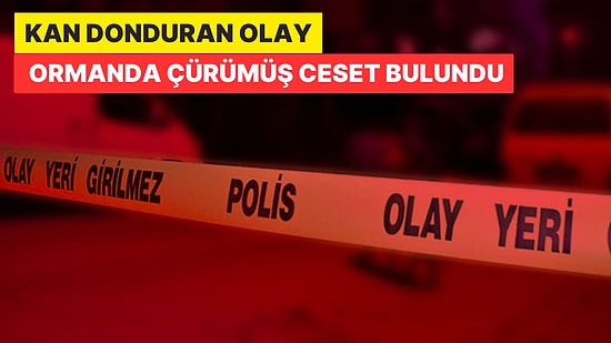 Kocaeli'nde Korkunç Olay: Ormanda Çürümüş Ceset Bulundu