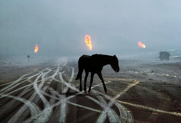 Körfez savaşı sırasında Kuveyt'te yanan bir petrol sahası. (1991)