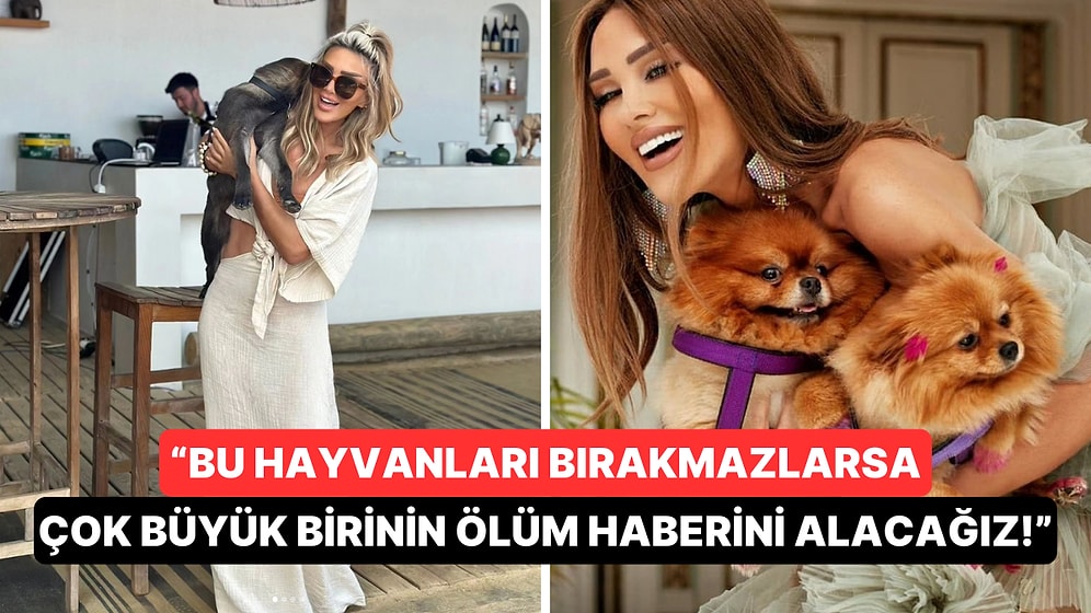 Barınaklarla İlgili Devlete Sürekli Çağrıda Bulunan Seren Serengil'in Son Paylaşımı "Yok Artık" Dedirtti