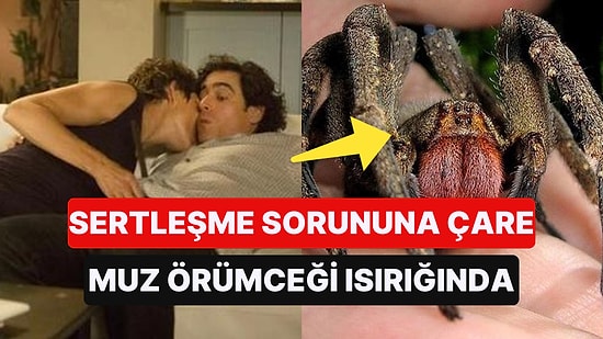 Ereksiyon Problemine Çözüm Bulundu: Çare Muz Örümceğinin Zehrinden Elde Edilen İlaç