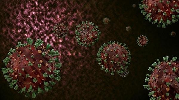Prof. Dr. Ümit Savaşcı, koronavirüsün yeni varyantı Pirola'nın, aşıdan tamamen kaçan başka bir alt mutasyon olduğunu söyledi.