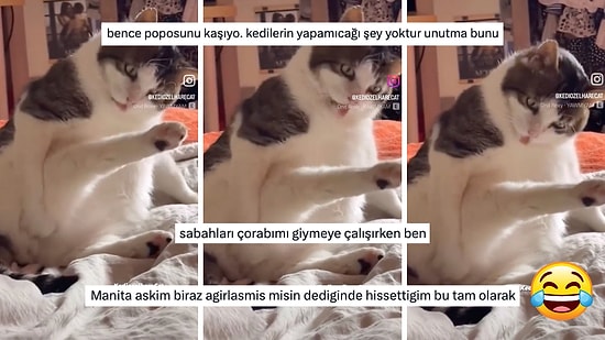 Şişkoluktan Bacağını Yetişemeyen Kedi Sosyal Medya Kullanıcılarına Tanıdık Geldi!