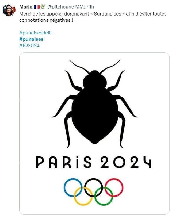 Paris Belediye Başkanı Yardımcısı Emmanuel Gregoire dün basına açıklama yapıp “Gerçekte hiç kimsenin güvende olmadığını anlamalısınız, tabii ki risk faktörleri var ama gerçekte tahtakuruları size bulaşabilir ve eve getirebilirsiniz” dedi. Gregoire açıklamasında tahtakurularının, 2024 Paris Olimpiyatları için bir tehdit olmadığını belirtti.