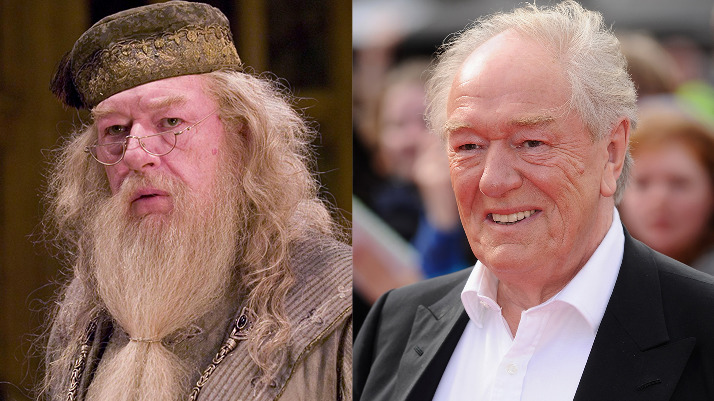 Michael Gambon: Legendary Dumbledore Actor from 'Harry Potter' Passes ...