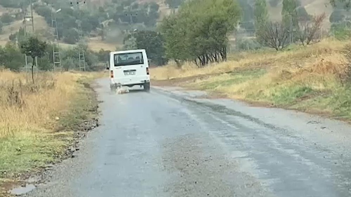 Minib�s�n Arkas�na Ba�lad��� K�pe�in Cans�z Bedenini Kilometrelerce S�r�kledi