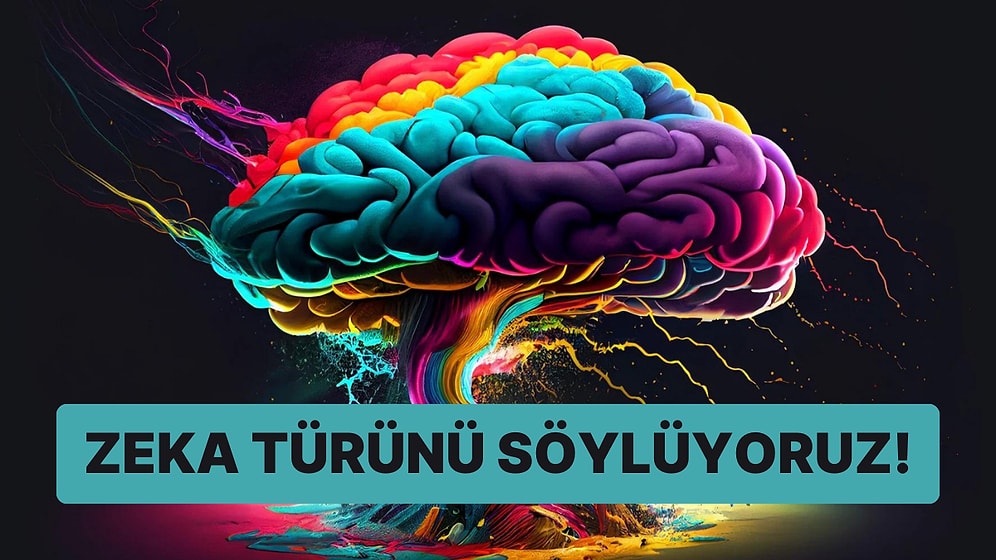 Bu Görsellerde Gördüğün İlk Şey Senin Zeka Türünü Ortaya Çıkarıyor!