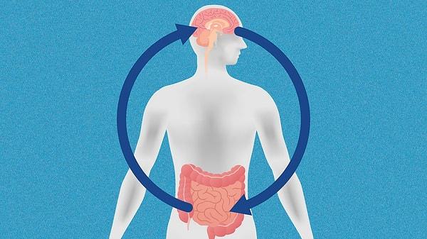 Factors That Affect Gut Health: