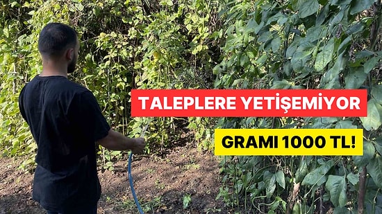 Türkiye'de Tek: Endonezya'dan Getirdi, Taleplere Yetişemiyor