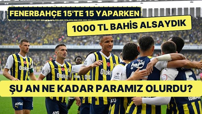 Sezon Başından Beri Fenerbahçe Galibiyetlerine 1000 TL ile Başlayarak Bahis Alsaydık Paramız Ne Kadar Olurdu?
