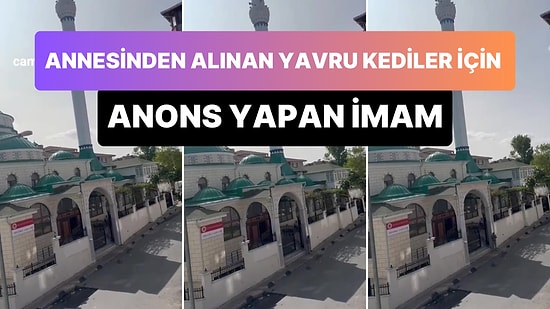 Annelerinden Koparılan Yavru Kediler İçin Anons Yapan İmam: 'Anne Kedi Ağlamaktadır, Üzgündür'