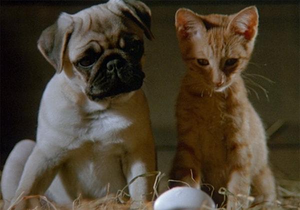 10. Milo and Otis in 'The Adventures of Milo and Otis' (1986)