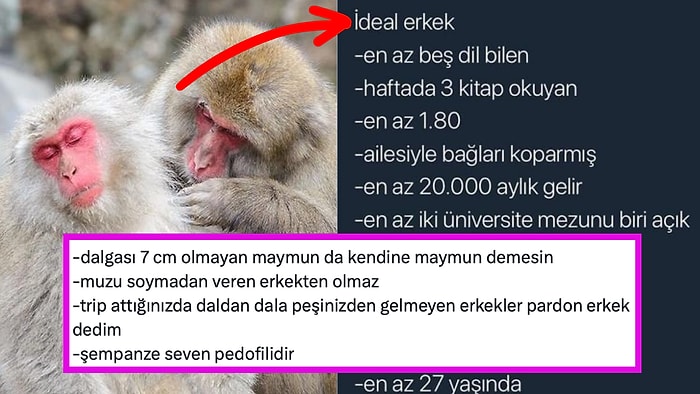 Dişi Hayvanların Erkekler Hakkında Birbirlerine Taktik Vermesine Gelen Yorumlar Hepinizi Güldürecek!