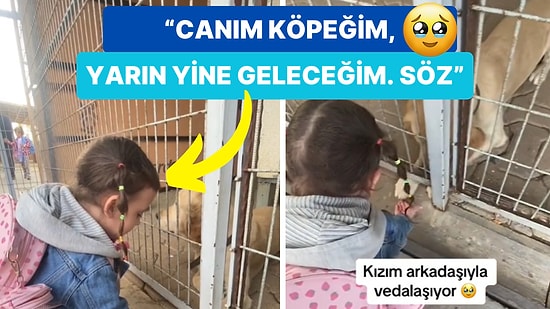 Sevdiği Köpeklerden Ayrılmak İstemeyen Minik Kızın Hallerine Şahit Olunca Duygularınıza Hakim Olamayacaksınız!