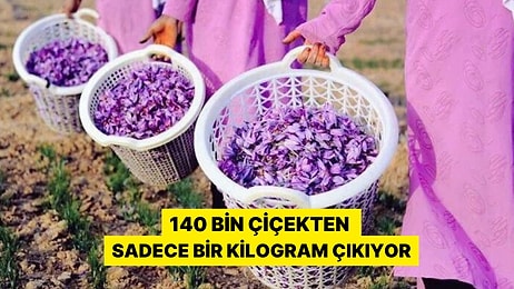 Kilosu 200 Bin TL! Dünyanın En Pahalı Baharatı: 140 Bin Çiçekten Bir Kilogram Çıkıyor