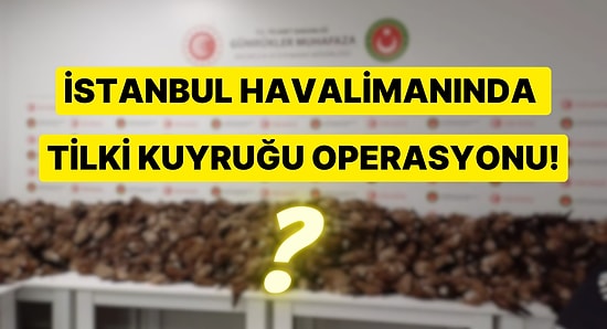 İstanbul Havalimanı'nda Servet Değerinde Tilki Kuyruğu Yakalandı!