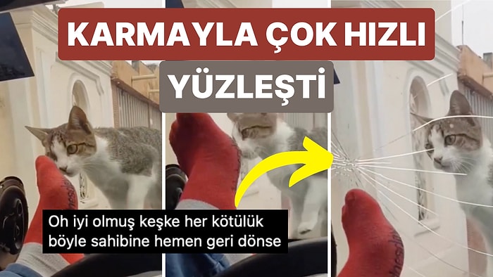 Arabasının Üzerine Çıkan Kediyi Korkutmaya Çalışırken Karmayla Çok Hızlı Bir Şekilde Karşılaşan Adam