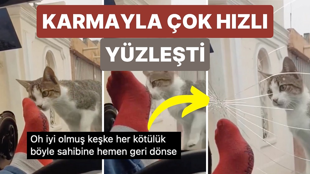 Arabasının Üzerine Çıkan Kediyi Korkutmaya Çalışırken Karmayla Çok Hızlı Bir Şekilde Karşılaşan Adam