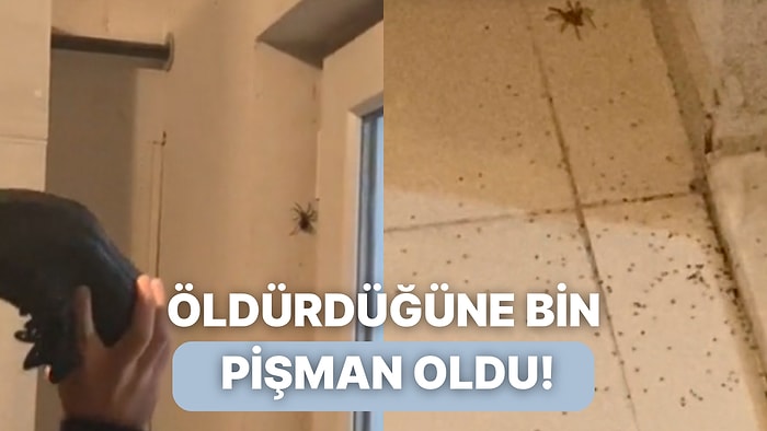 Evlerine Giren Örümceği Öldürmek İstemişti Ama Çok Daha Kötüsü Oldu!