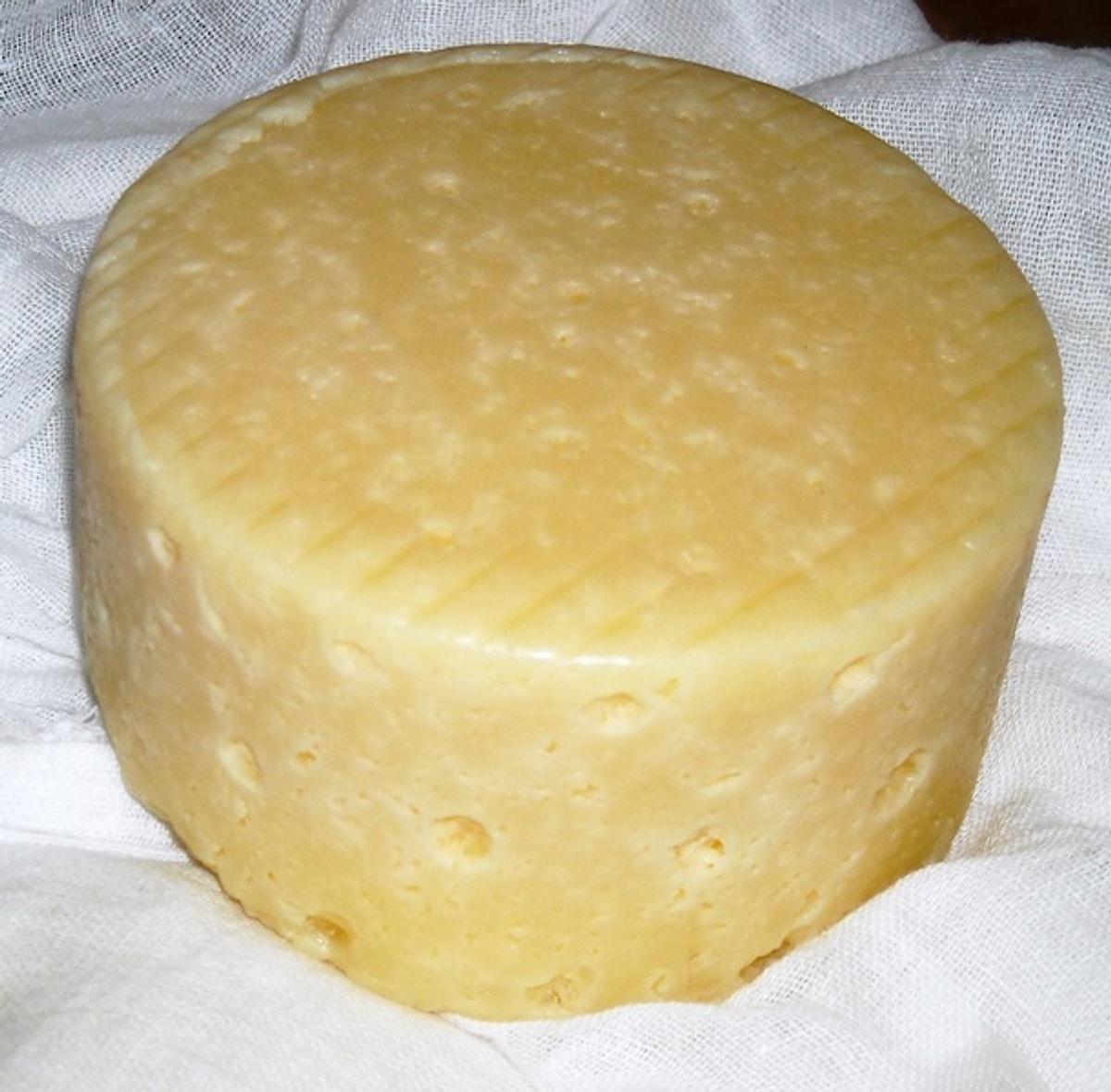 Самодельный сыр. Сыр с закваской Мейто. Сыр из козьего молока с закваской метио. Домашний твердый сыр. Головка сыра.