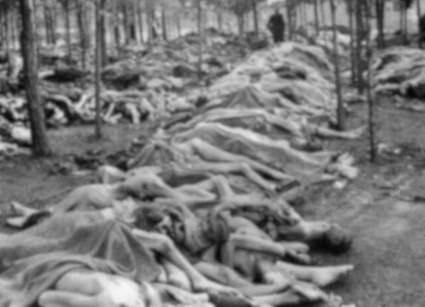 5. 15 Nisan 1945'te Almanya'daki Bergen-Belsen toplama kampında bulunan cesetler.