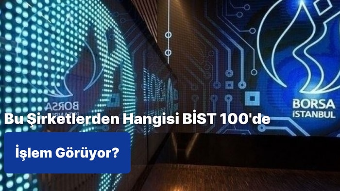 Bu Şirketlerden Hangisinin BİST 100'de İşlem Gördüğünü Bulabilecek misin?