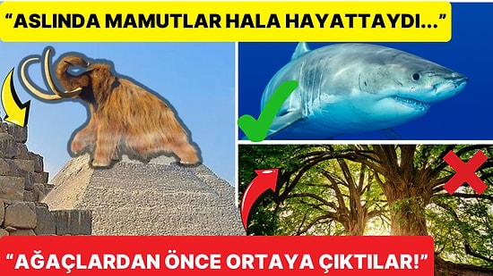 Her Ne Kadar Doğru Oldukları Kanıtlansa da İnanmanın Zor Geldiği 17 Gerçek