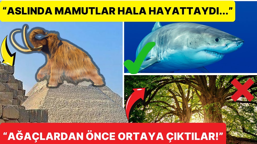 Her Ne Kadar Doğru Oldukları Kanıtlansa da İnanmanın Zor Geldiği 17 Gerçek