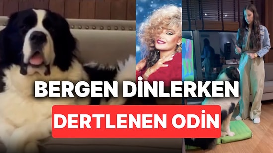 Mustafa Ceceli'nin Deprem Bölgesinden Sahiplendiği Köpeği Odin'in Bergen Dinlerken Efkarlandığı Anlar