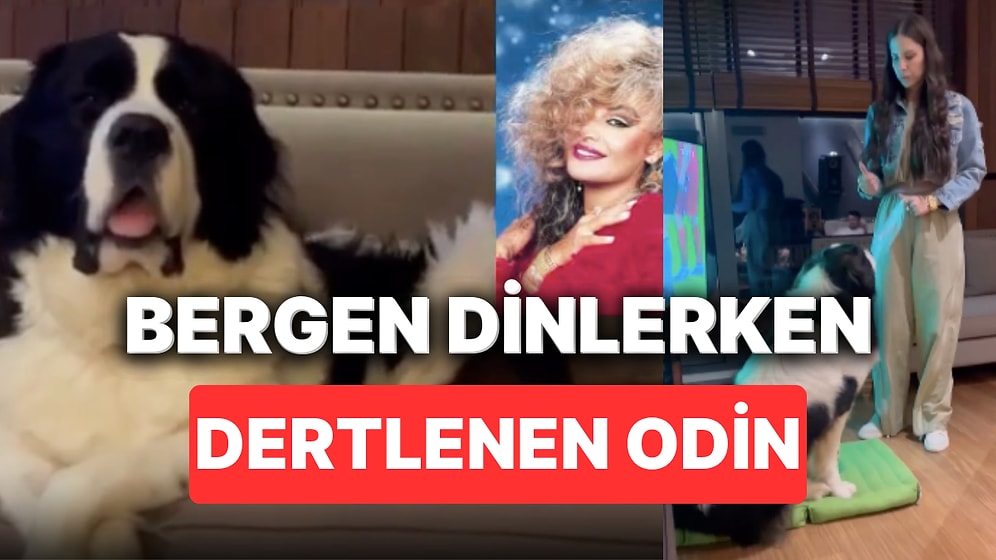 Mustafa Ceceli'nin Deprem Bölgesinden Sahiplendiği Köpeği Odin'in Bergen Dinlerken Efkarlandığı Anlar