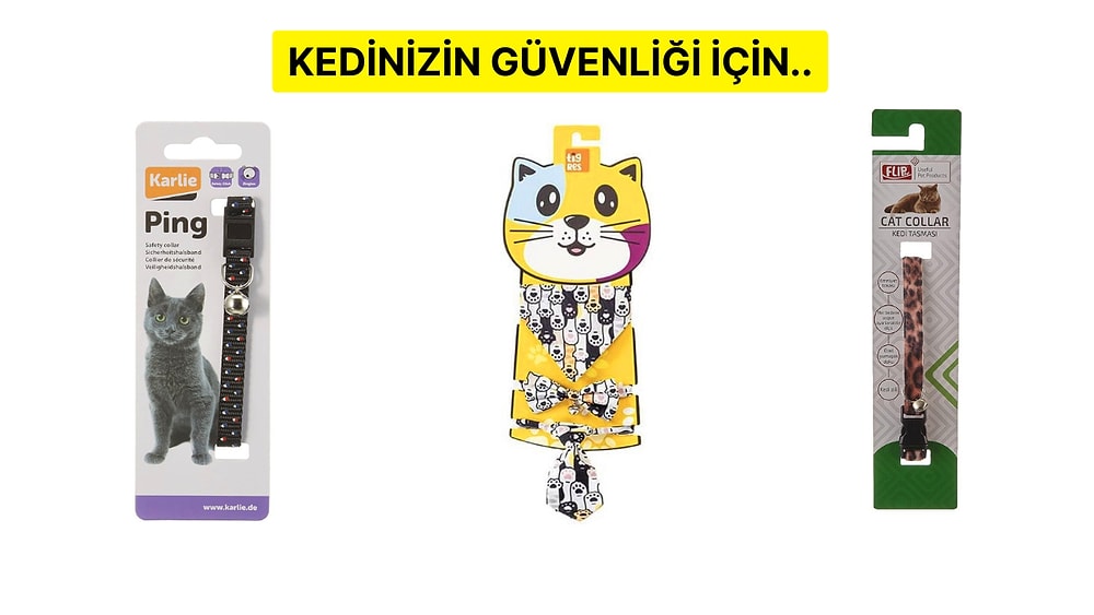 Evcil Hayvanınız Bu Tasmaları Çok Sevecek! Kediler ve Küçük Irk Köpekler İçin En Sevimli 17 Tasma Önerisi