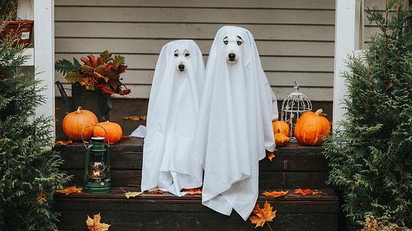 Cadılar Bayramı nedir? Halloween ne zaman kutlanır?