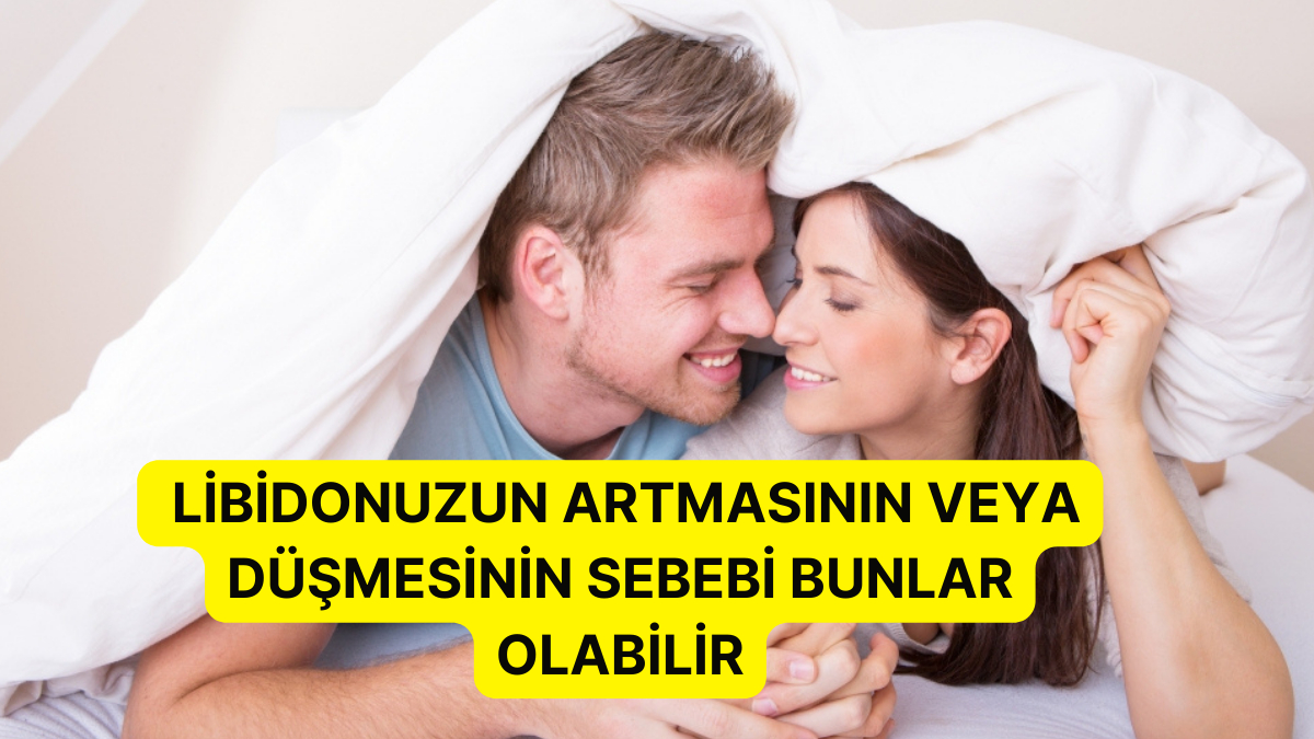 lezbiyen çiftlerde ilişki yaşanır tips result