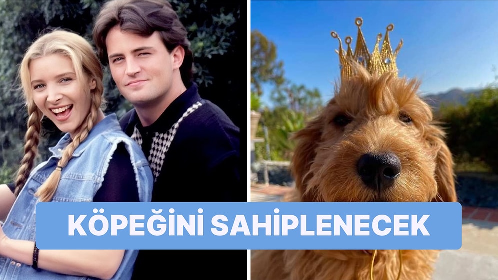 Lisa Kudrow'un Matthew Perry'nin Ölümünün Ardından Köpeği Alfred'i Sahiplenmek İstediği İddia Edildi