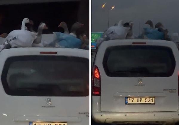 O sırada yolda olan başka bir araç tarafından paylaşılan görüntüler sosyal medyada tepki topladı.
