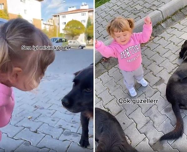 Sosyal medyada paylaşılan ve viral olan bir görüntüde, bir çocuk sokak köpeklerini severken görülüyor.