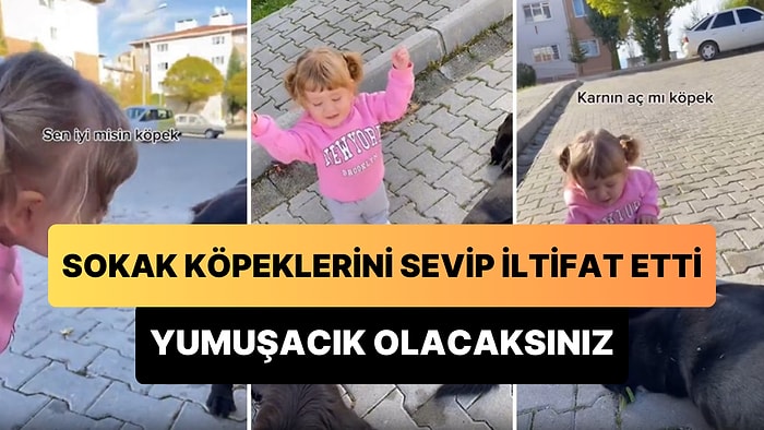 Sokak Köpeklerini Sevip İltifat Eden Ufaklığın İzlerken Gözlerinizden Kalpler Fışkırtacak Anları