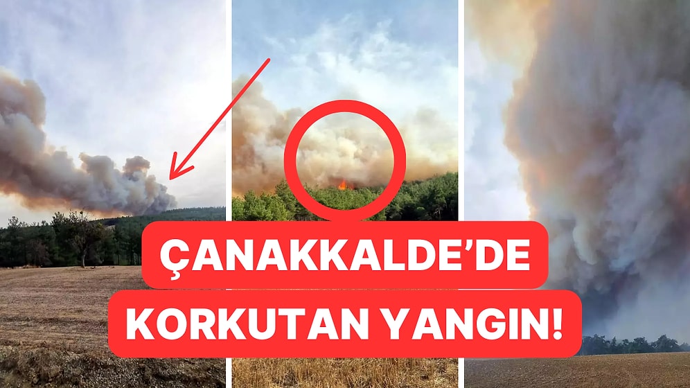 Çanakkale'de Orman Yangını Çıktı: 1 Köy Boşaltıldı