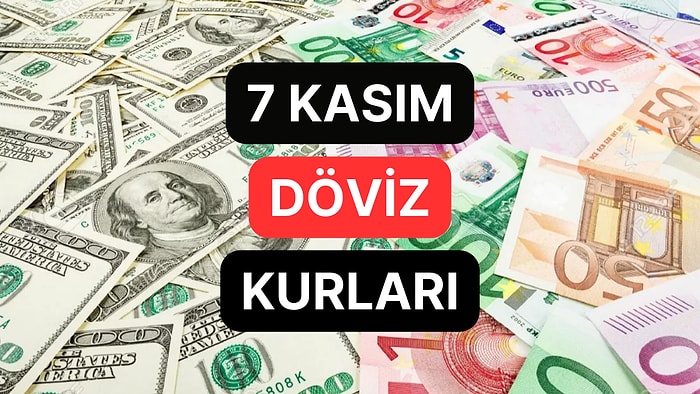 7 Kasım 2023 Güncel Döviz Kuru USD Fiyatı: Bugün Dolar Fiyatı Ne Kadar? 1 Dolar Ne Kadar, Kaç TL?