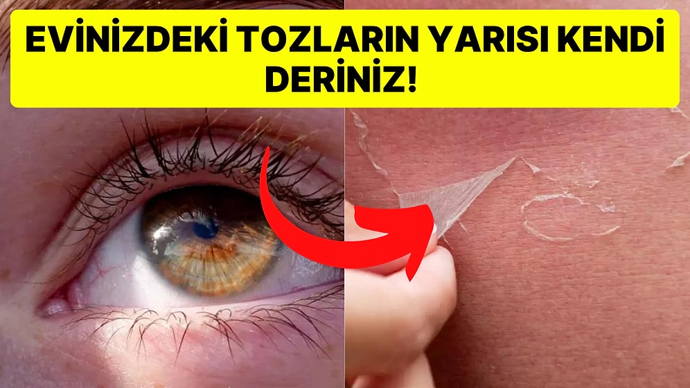 İnsan Vücuduyla İlgili Muhtemelen Daha Önce Duymadığınız Birbirinden Tuhaf 15 Gerçek