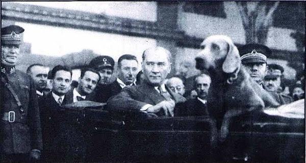 6. Millet Çifliği'ndeki köşkünde "Dal kesilmeyecek Köşk kaydırılacak!" diyerek doğaya olan sevgisini kanıtlayan Atatürk, aynı zamanda bir hayvan severdi. Peki, Atatürk'ün son köpeğinin adı neydi?