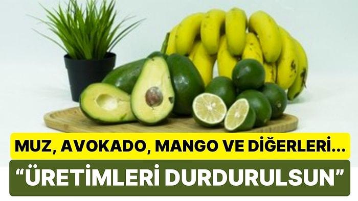 “Muz, Mango, Avokado, Ejder Meyvesi Gibi Ürünlerin Üretimi Durdurulsun”