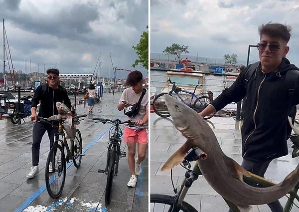 O anları kaydeden Mustafa Yaman isimli vatandaş ise, 'Düştü' deyince köpek balığı bisikletten düştü.