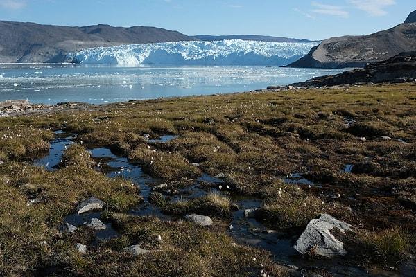 Grönland buzulları, iklim değişikliğine buz tabakalarından daha hızlı tepki veriyor ve bu durum, potansiyel olarak daha büyük buz tabakası çekilmeleri için bir erken uyarı sistemi olarak değerlendiriliyor.