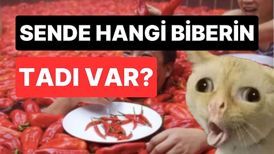 İnsanlarda Hangi Biber Gibi Tat Bırakıyorsun?