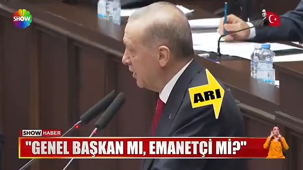 Cumhurbaşkanı Erdoğan'ın sırtına konan arıyı fark eden koruma ise o arıya müdahale etti.