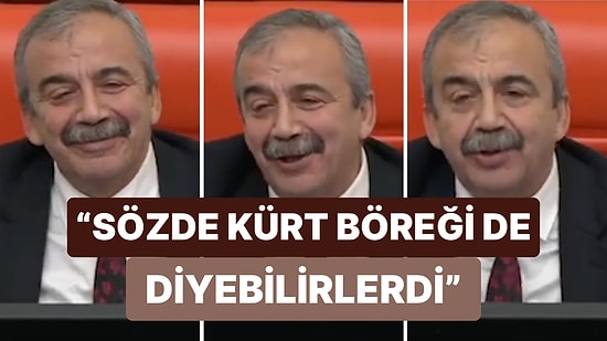 TBMM'de "Kürt Böreği" Tartışması Sırasında Güldüren Anlar Yaşandı: "Sözde Kürt Böreği de Diyebilirlerdi"
