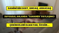 "50 Yaşında Bay Yanına Bayan Ev Arkadaşı" Kiralık İlanında Verilen Ayrıntılar "Pes Artık" Dedirtecek