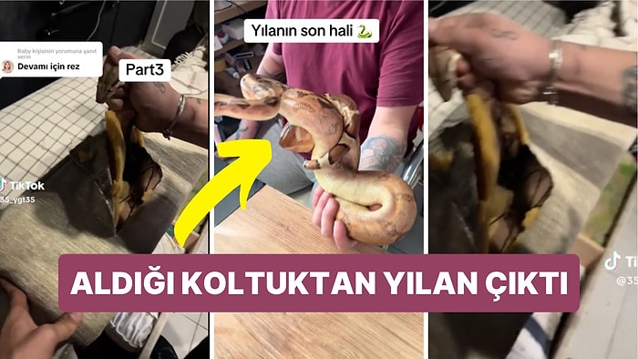 Aldıkları İkinci El Koltuktan Çıkan Yılan Sizin de Koltuklarınızı Kurcalamanıza Neden Olacak