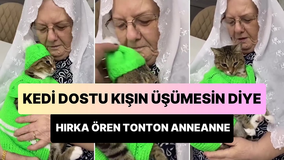 Kedi Dostunu Ördüğü Hırka ile Kışa Hazırlayan Tonton Anneannenin Muhteşem Anları