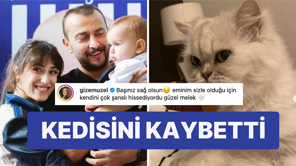 Hazal Kaya'nın 12 Yıllık Kedisi Leyla'ya Vedası Gözlerinizin Dolmasına Neden Olacak